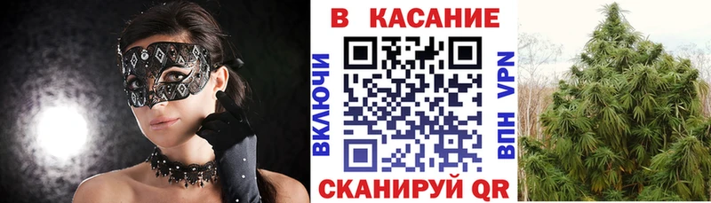 Где купить Новотитаровская Конопля  СК  Гашиш 