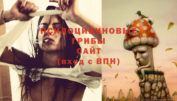 дмт Балахна
