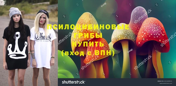 дмт Балахна