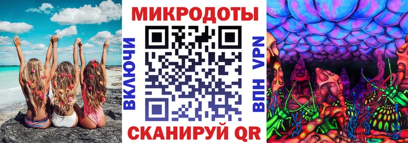 где продают   Новотитаровская  Псилоцибиновые грибы GOLDEN TEACHER 